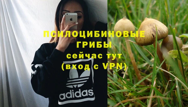первитин Абаза