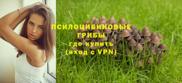мет Михайловка