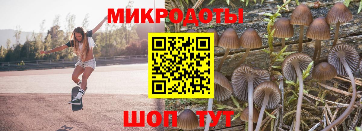 Керчь  Галлюциногенные грибы прущие грибы  Вход с VPN 